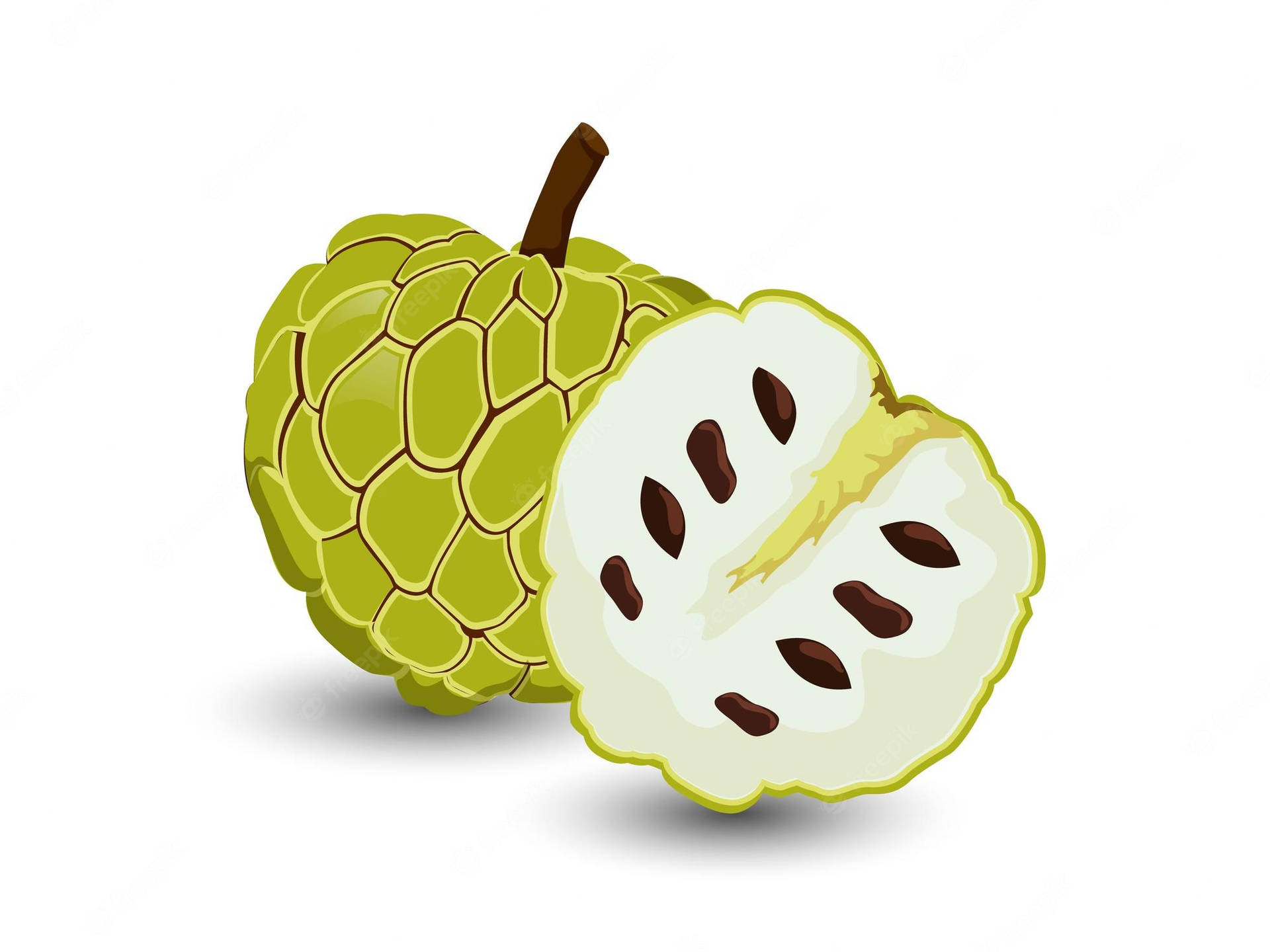 Enchanting Artwork Of Custard Apple Background