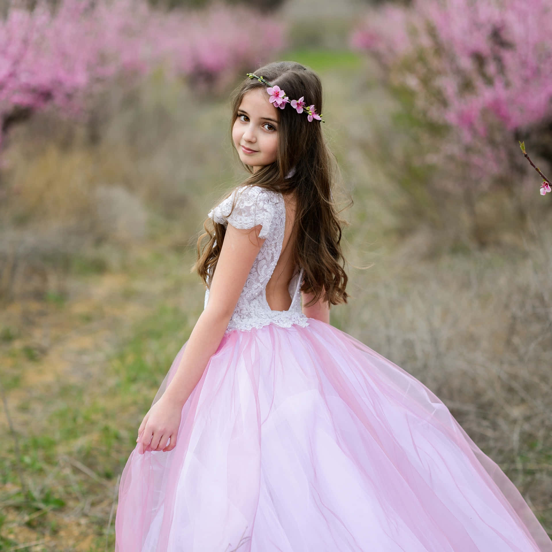Enchanting Beauty In Pink - A Pretty Girl Adorned In A Princess Dress