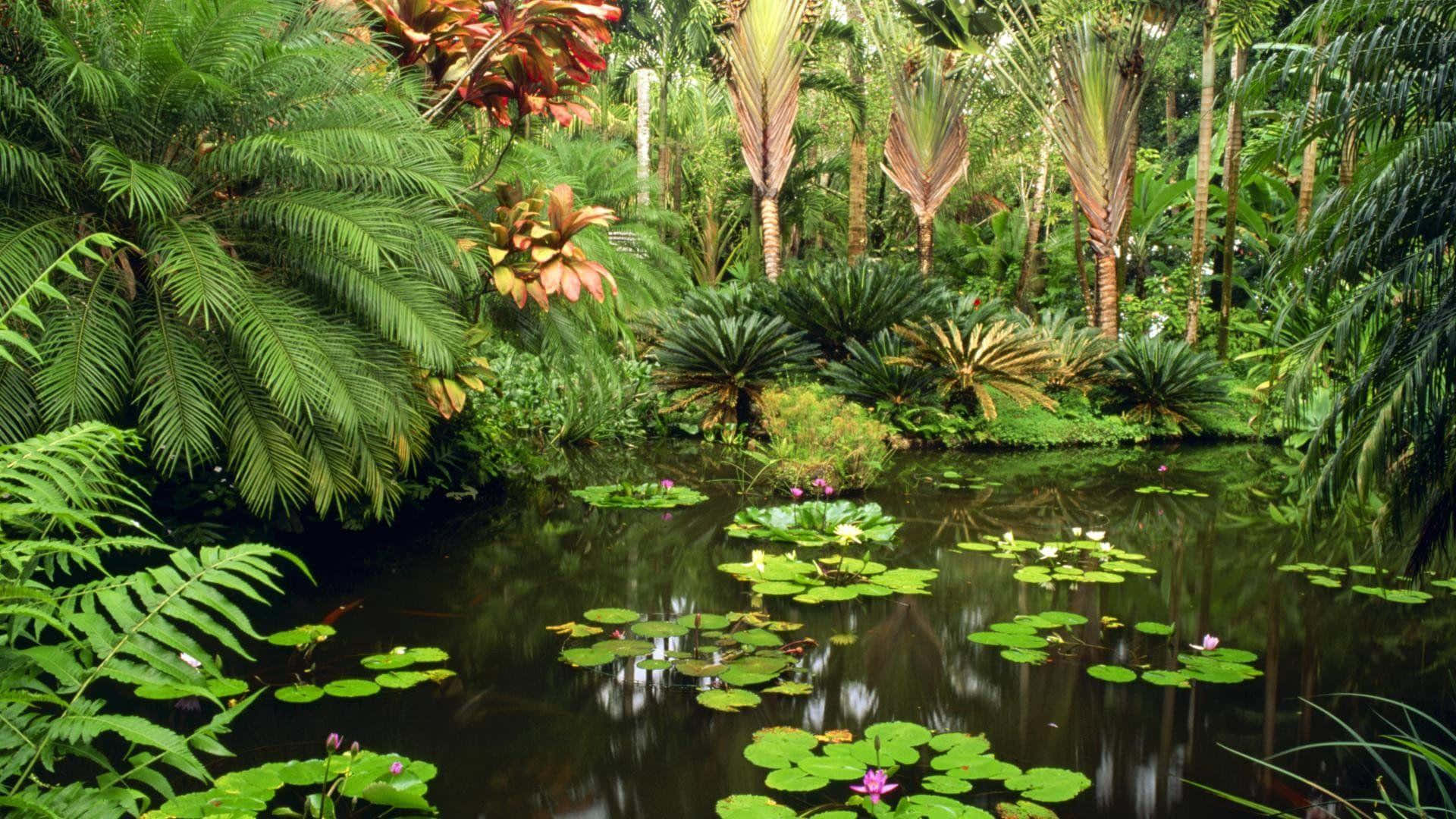 Enchanting Botanical Garden Background
