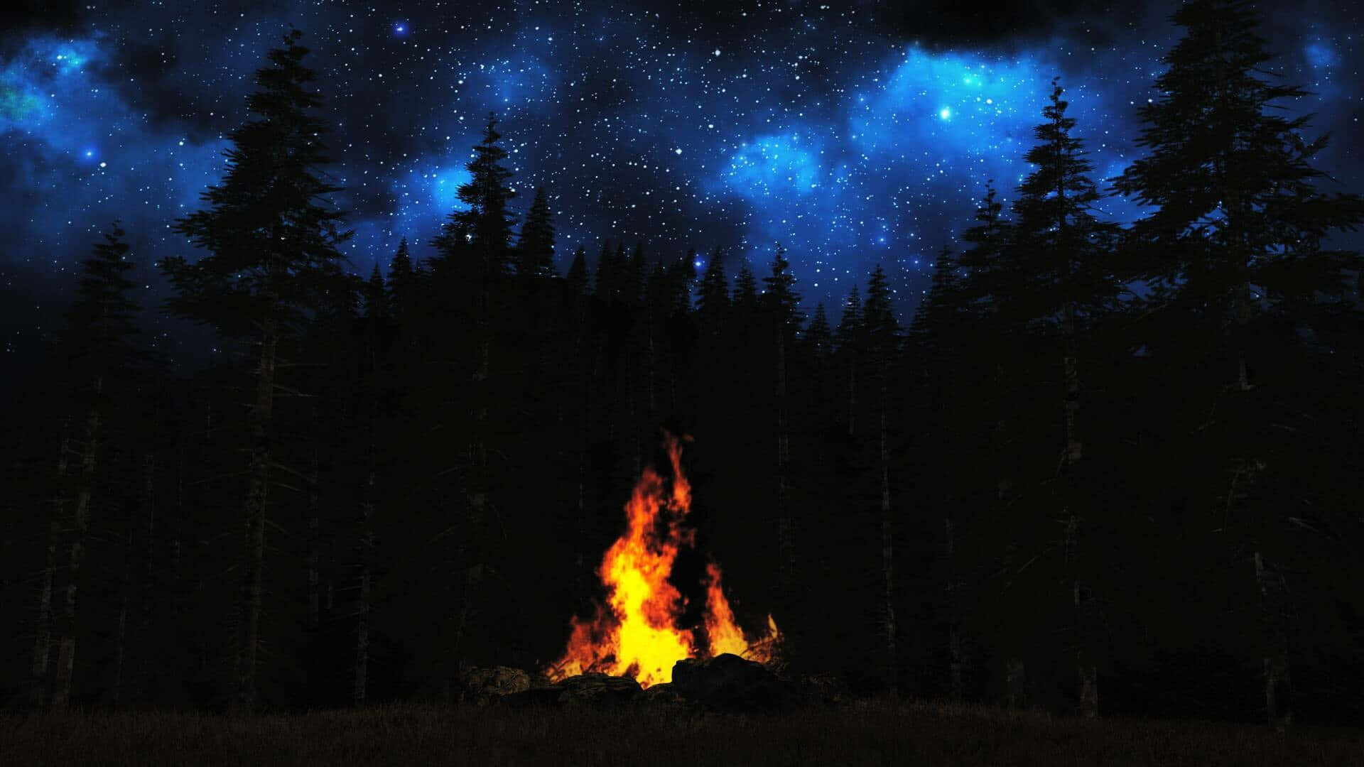 Enchanting Campfire Glowing In The Dark Background