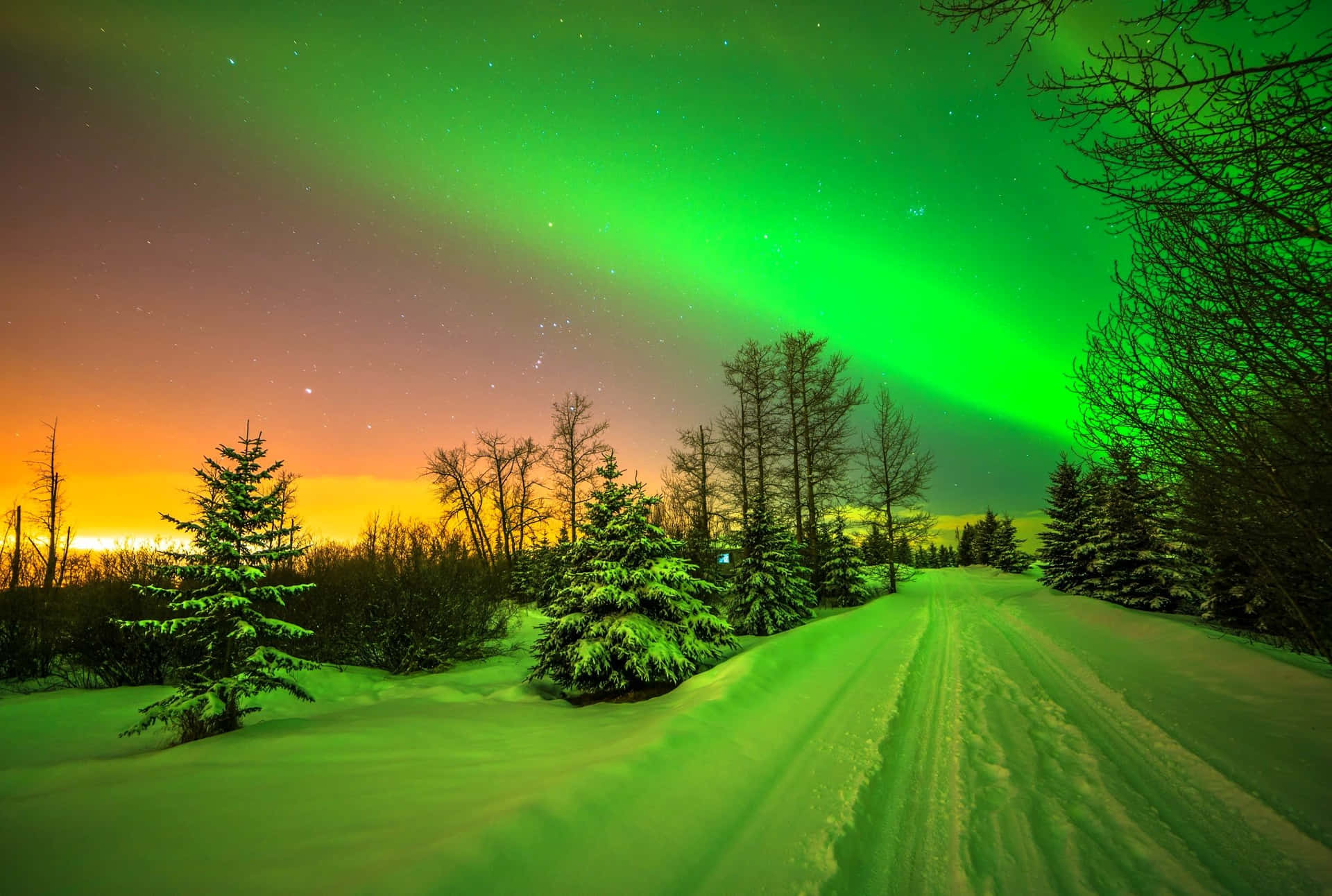 Enchanting Dance Of The Northern Lights Background