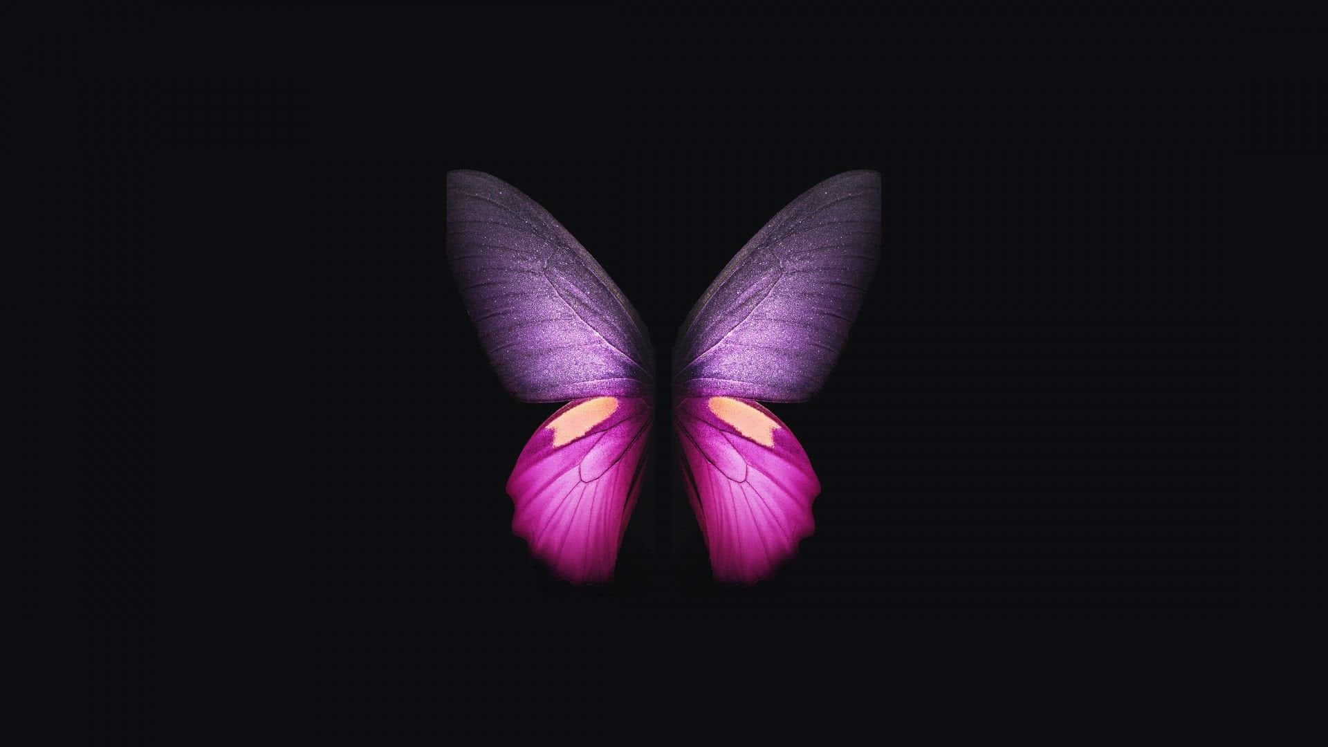 Enchanting Dark Butterfly On A Mysterious Background Background