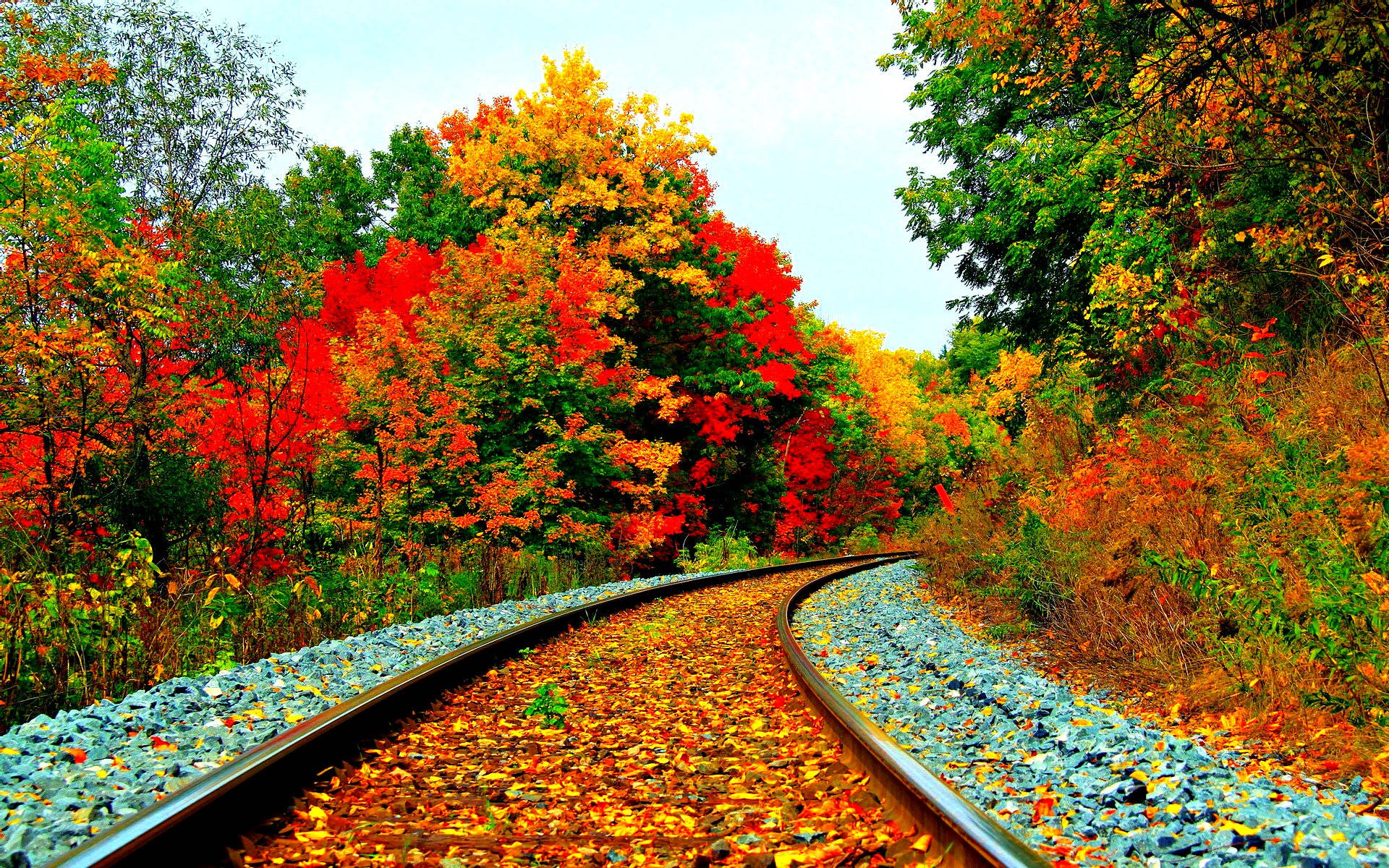 Enchanting Fall Journey By Train Background