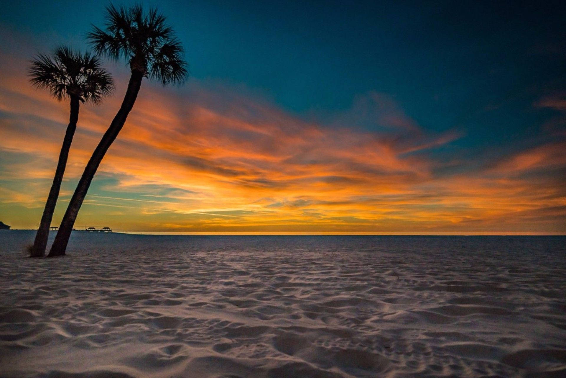 Enchanting Florida Beach With Palm Trees Background