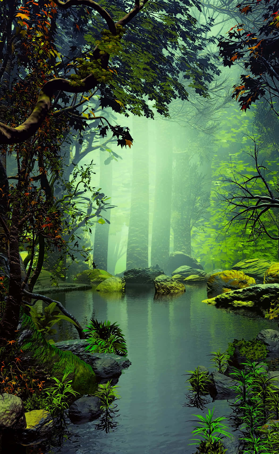 Enchanting Forest Nature Android Hd Background