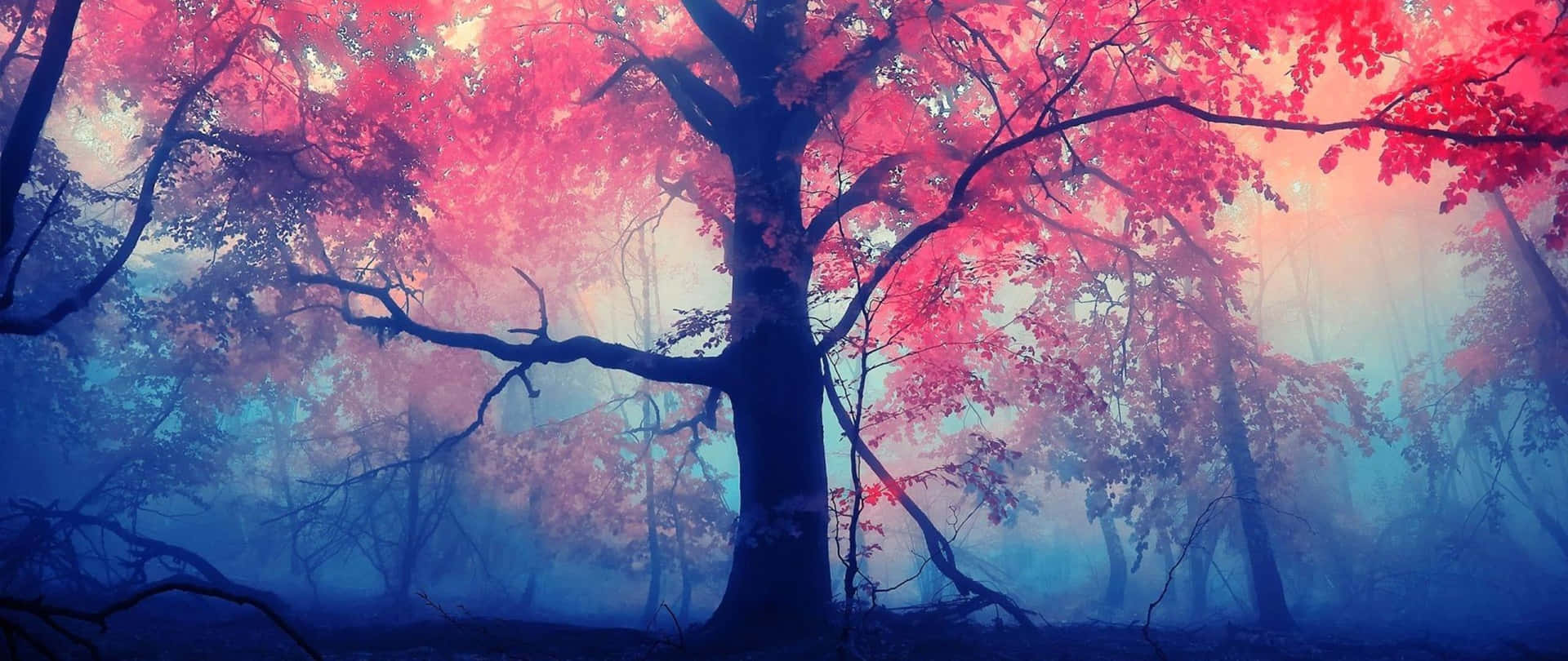 Enchanting Forest Red Ultra Wide Hd