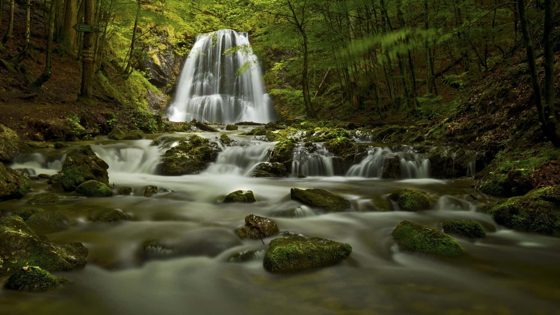 Enchanting_ Forest_ Waterfall_4 K Background