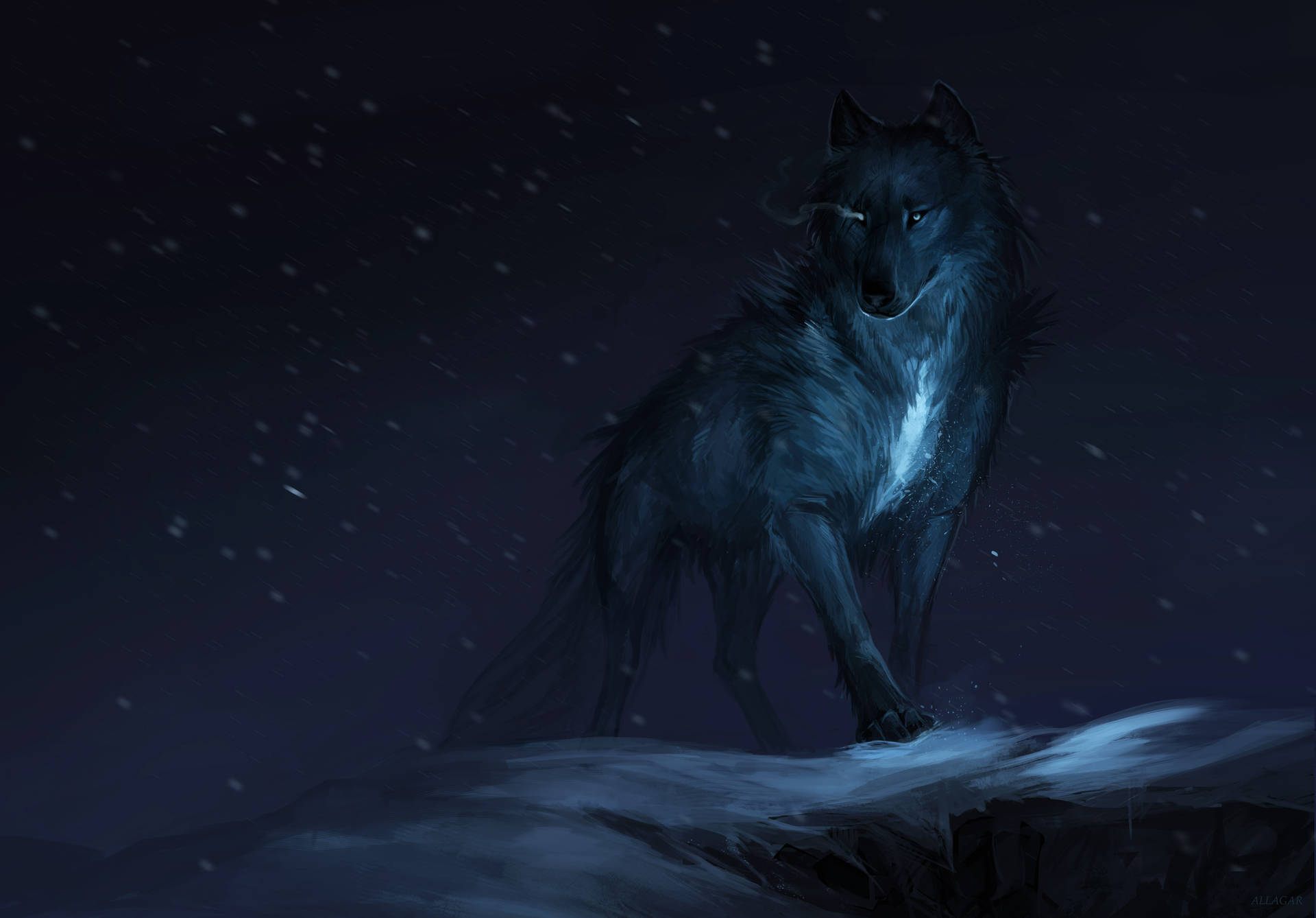 Enchanting Fox Dark 4k Background