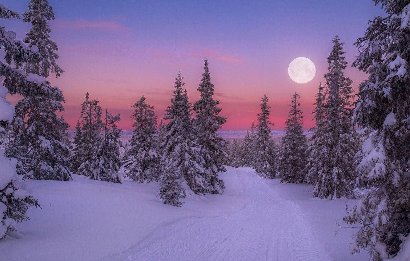 Enchanting Full Moon Over A Winter Wonderland