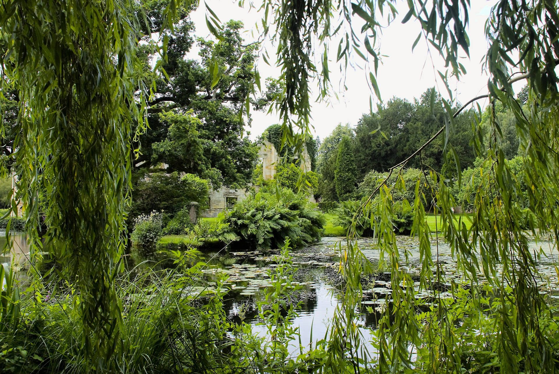 Enchanting Park Pond Background