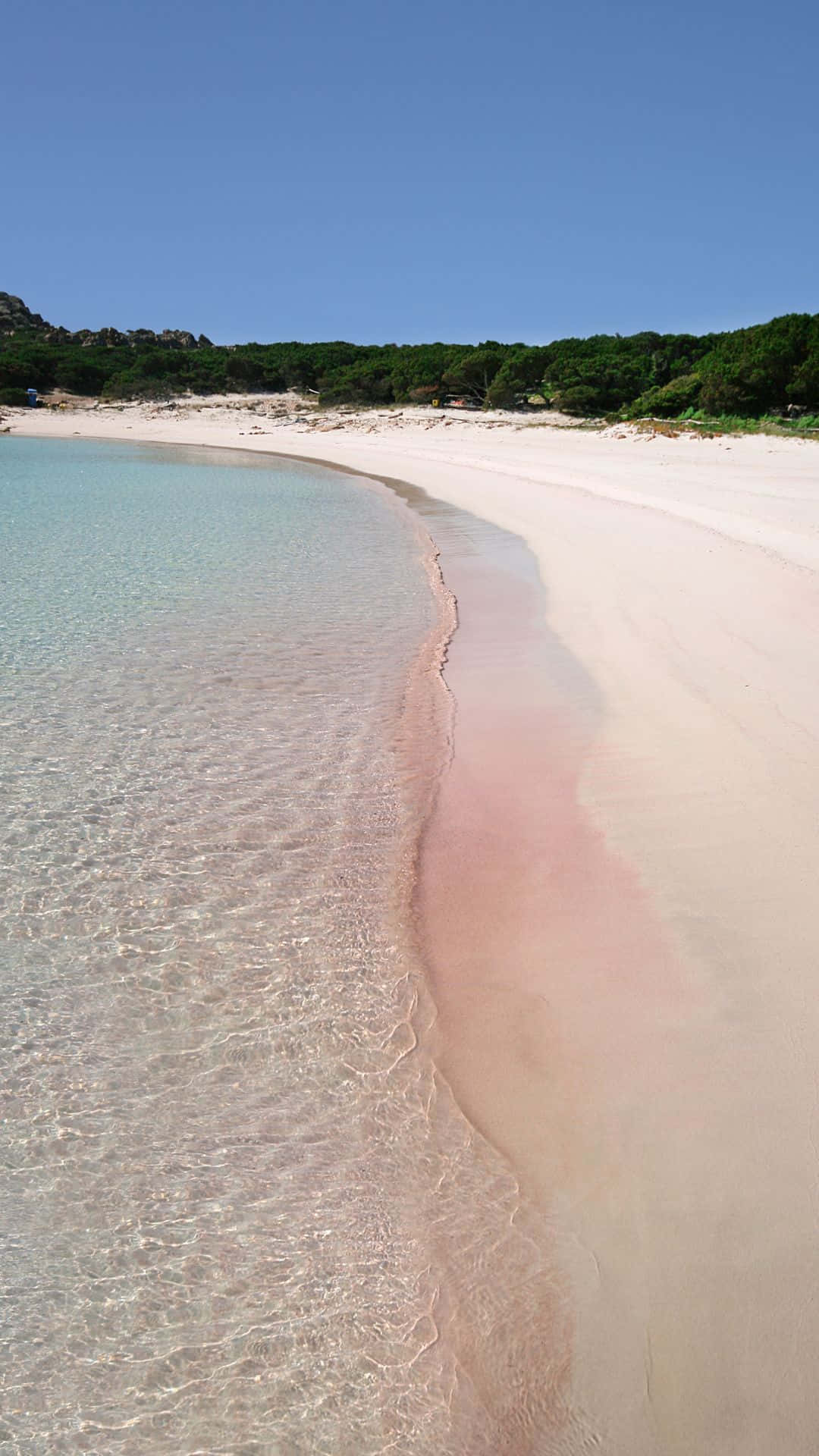 Enchanting Pink Beach Paradise