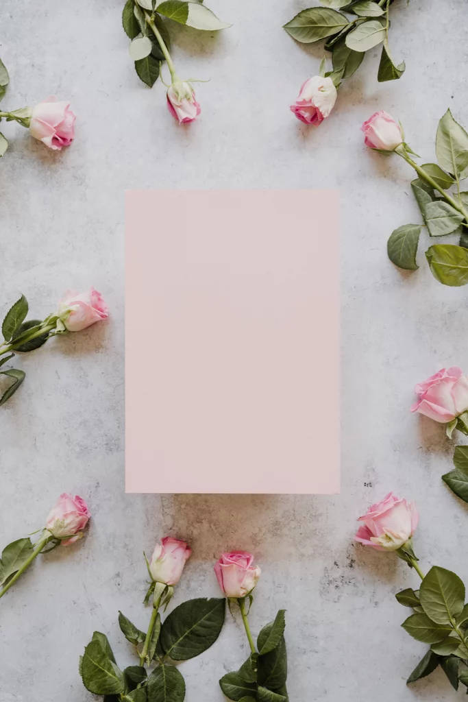 Enchanting Pink Rose Wallpaper For Iphones Background