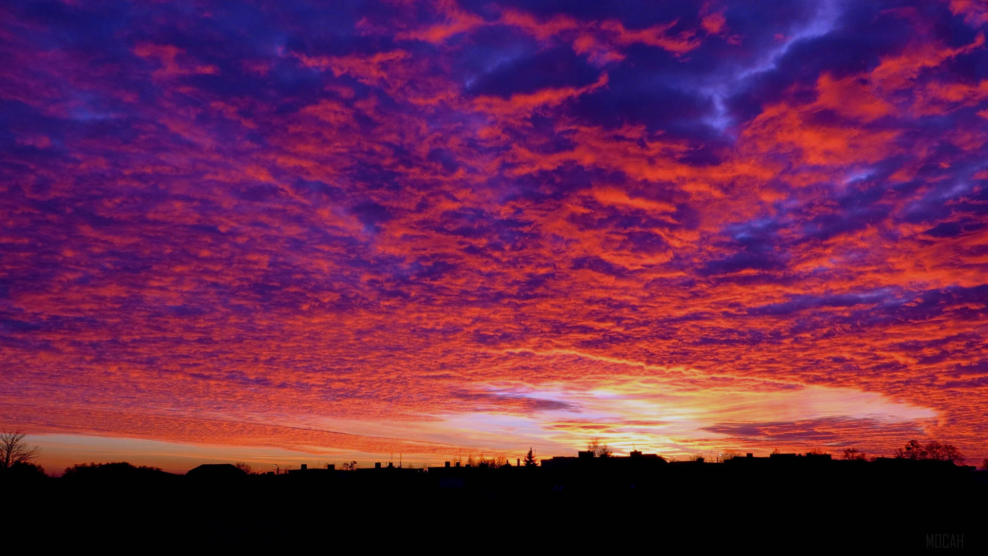 Enchanting Red Clouds Horizon