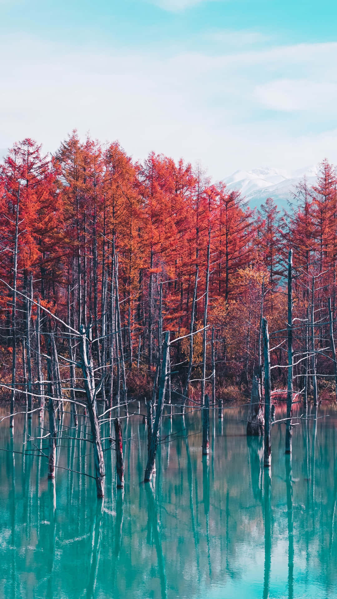 Enchanting Reflection: Nature's Serenity Displayed In A Mysterious Pond Background