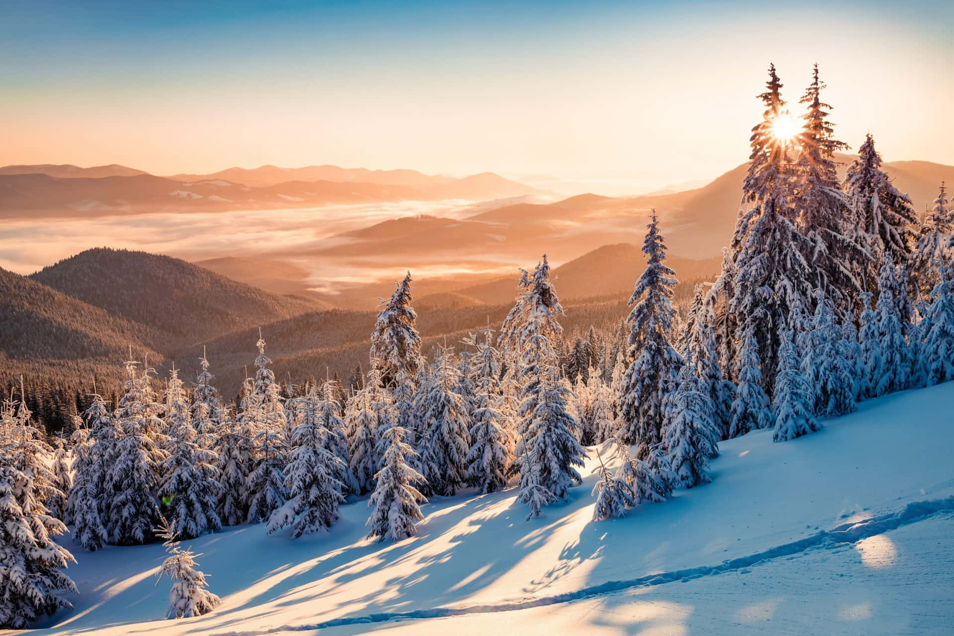 Enchanting Winter Solstice Landscape Background