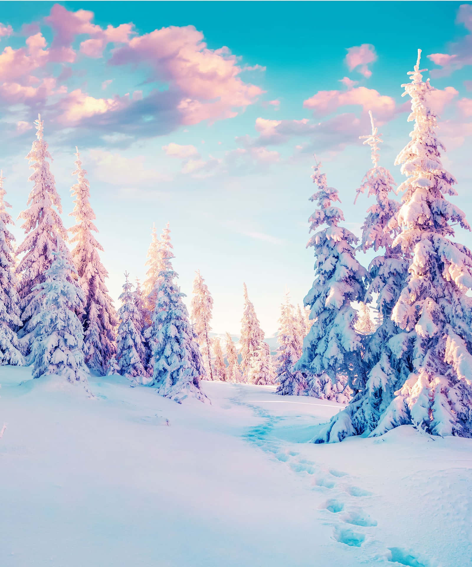 Enchanting Winter Solstice Night Background