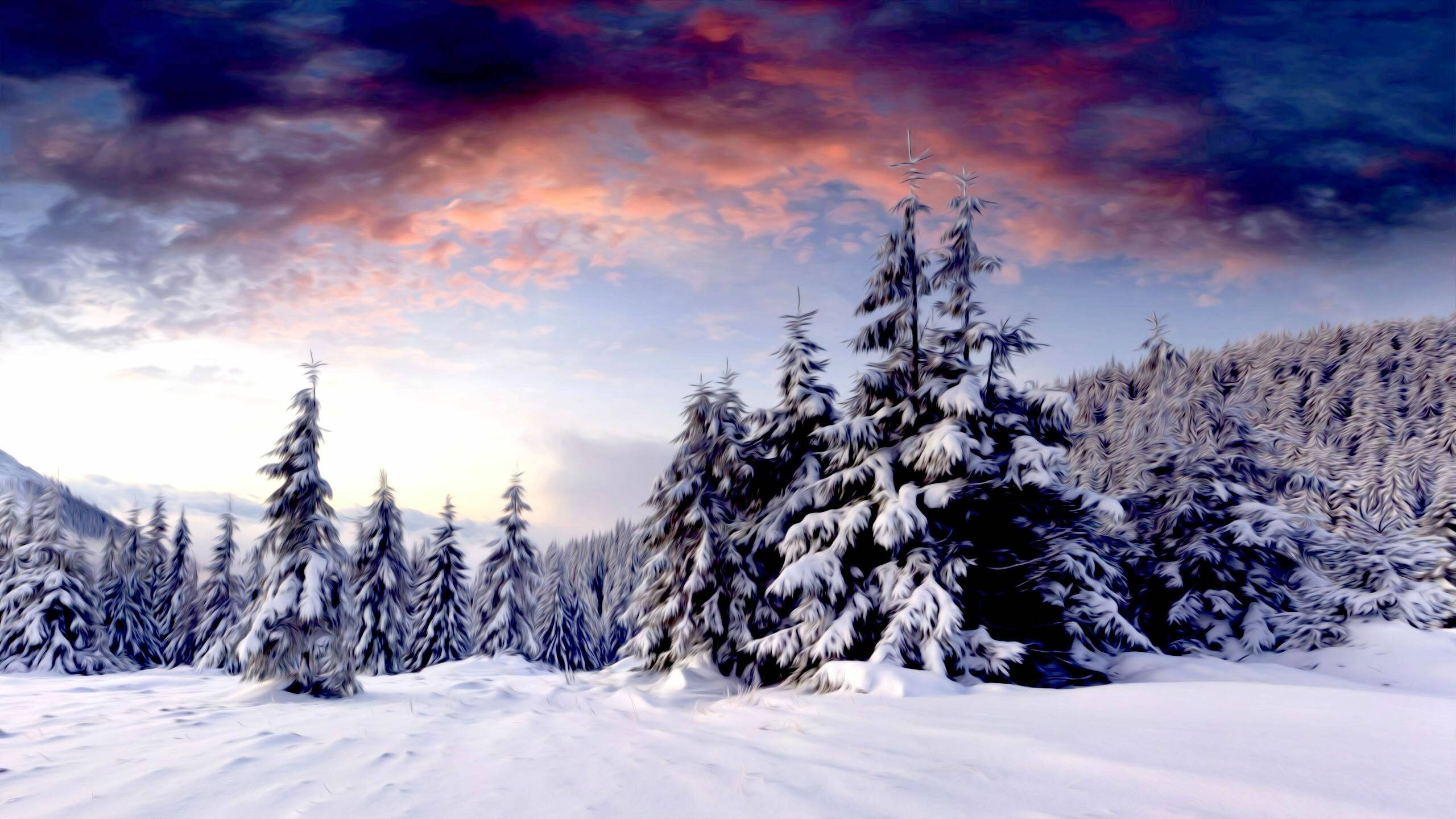 Enchanting Winter Wonderland