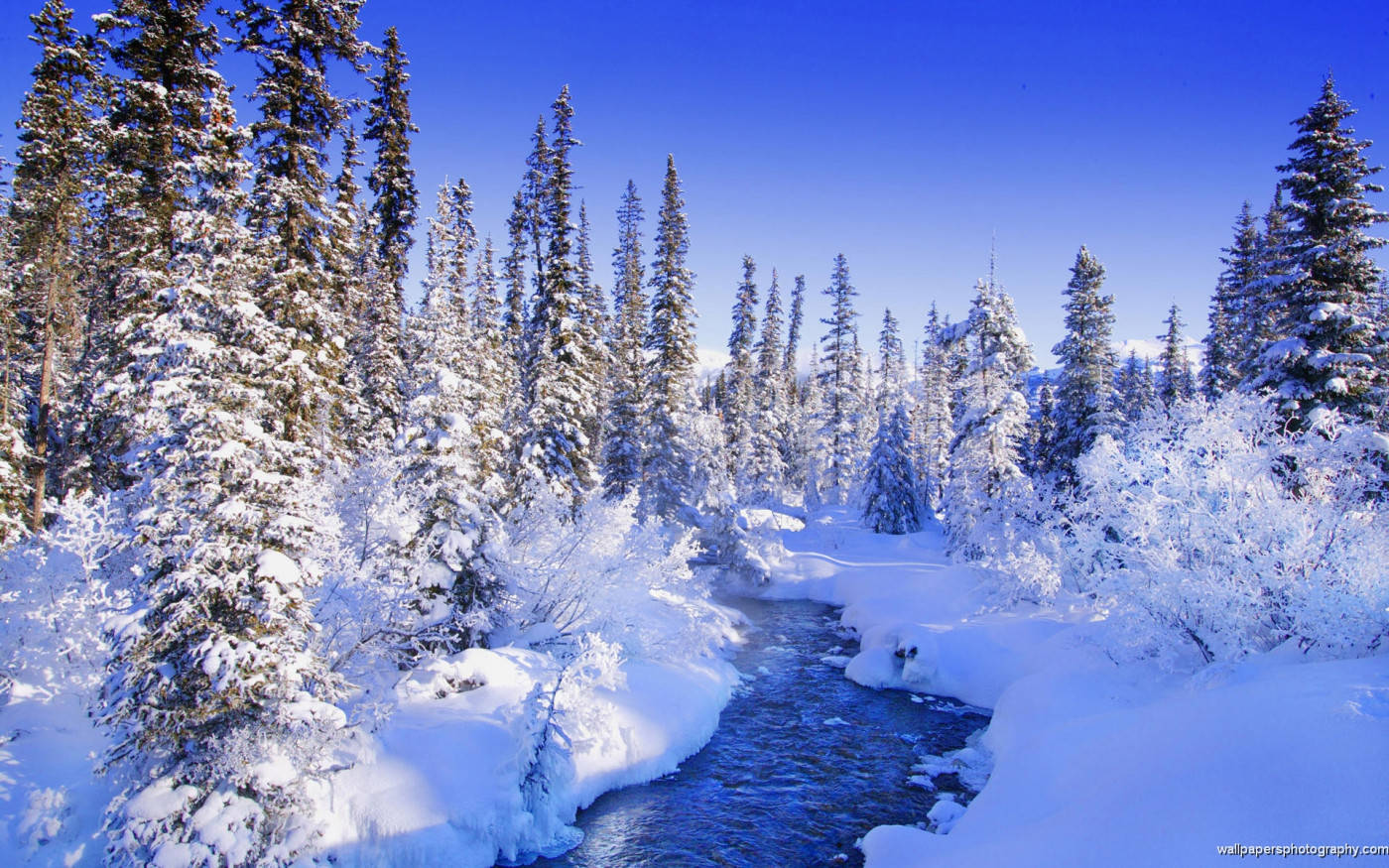 Enchanting Winter Wonderland Background