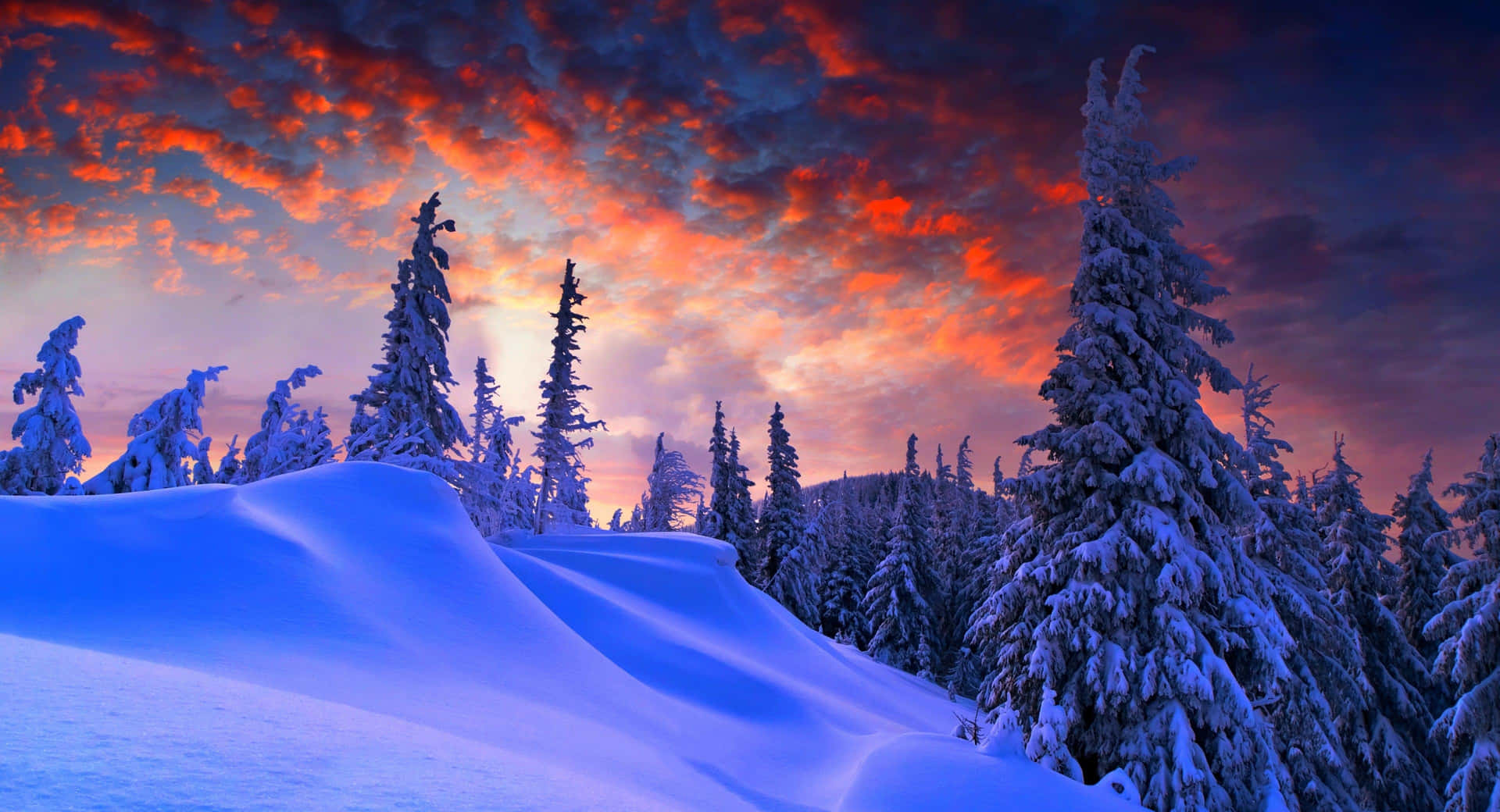 Enchanting Winter Wonderland