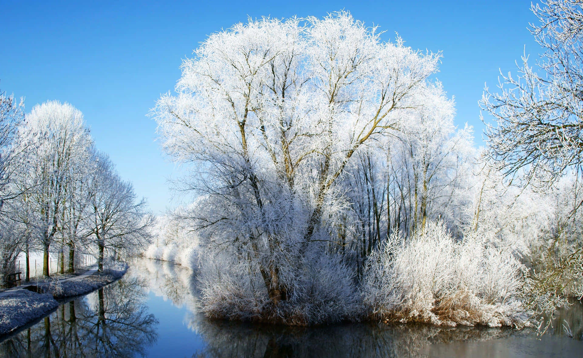 Enchanting Winter Wonderland