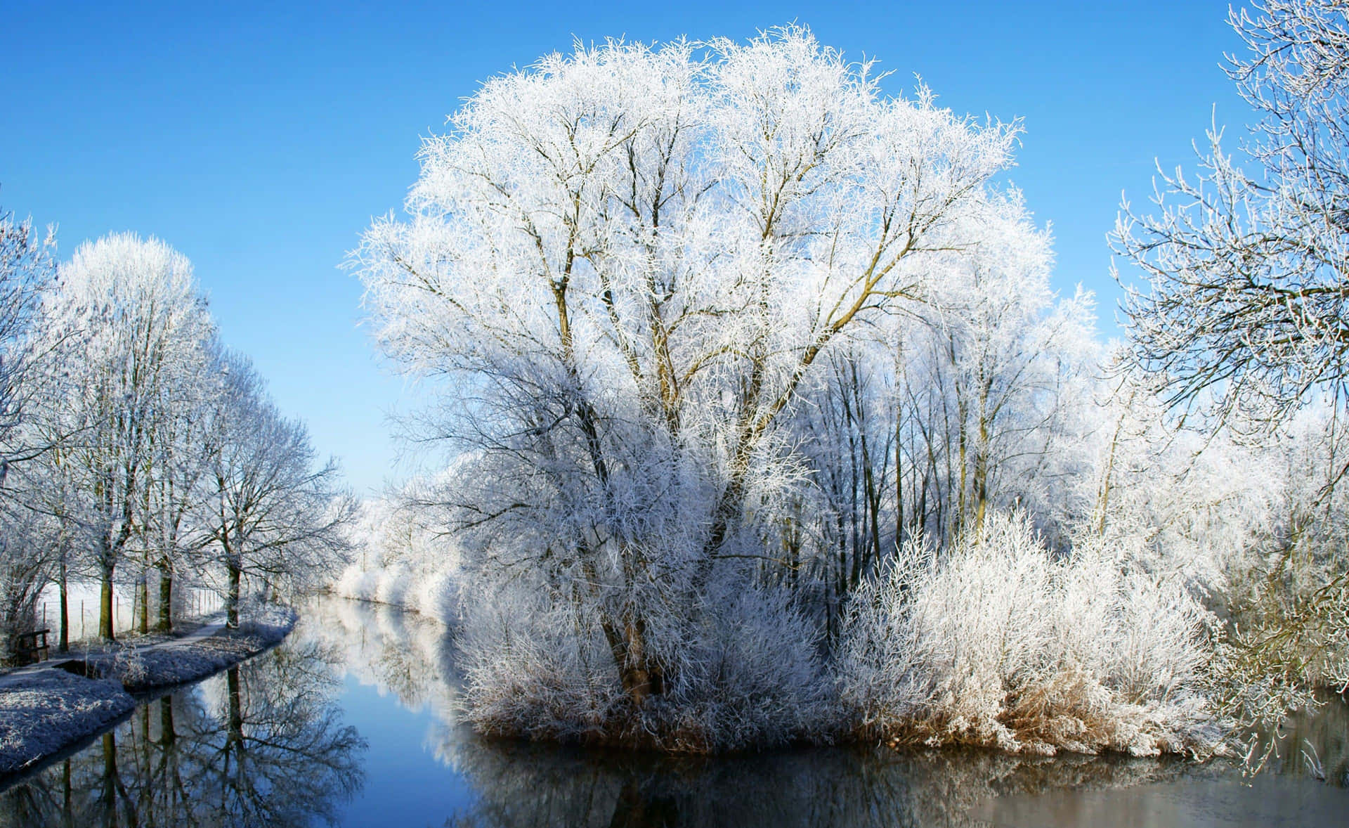 Enchanting Winter Wonderland Background