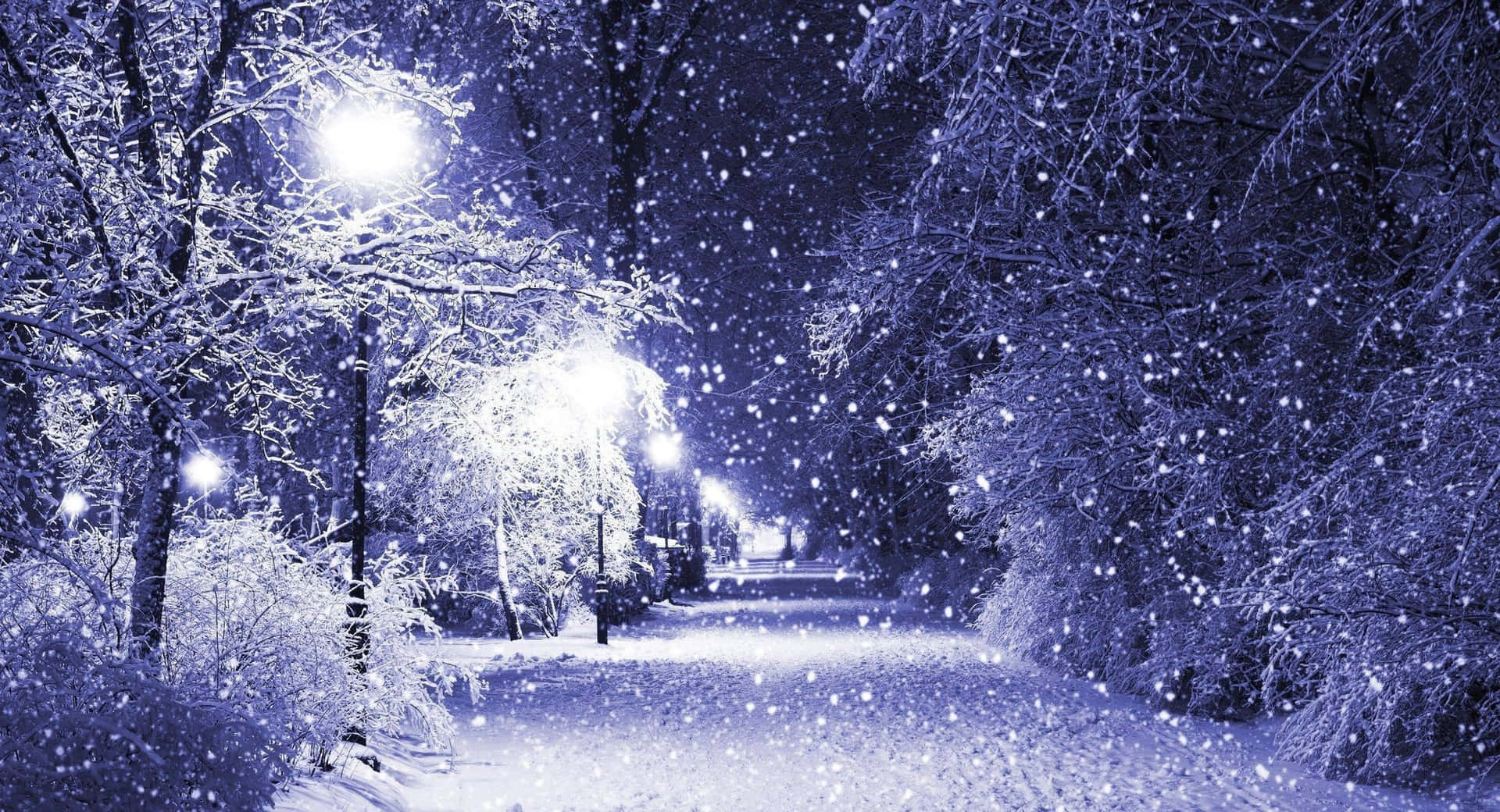 Enchanting Winter Wonderland Background