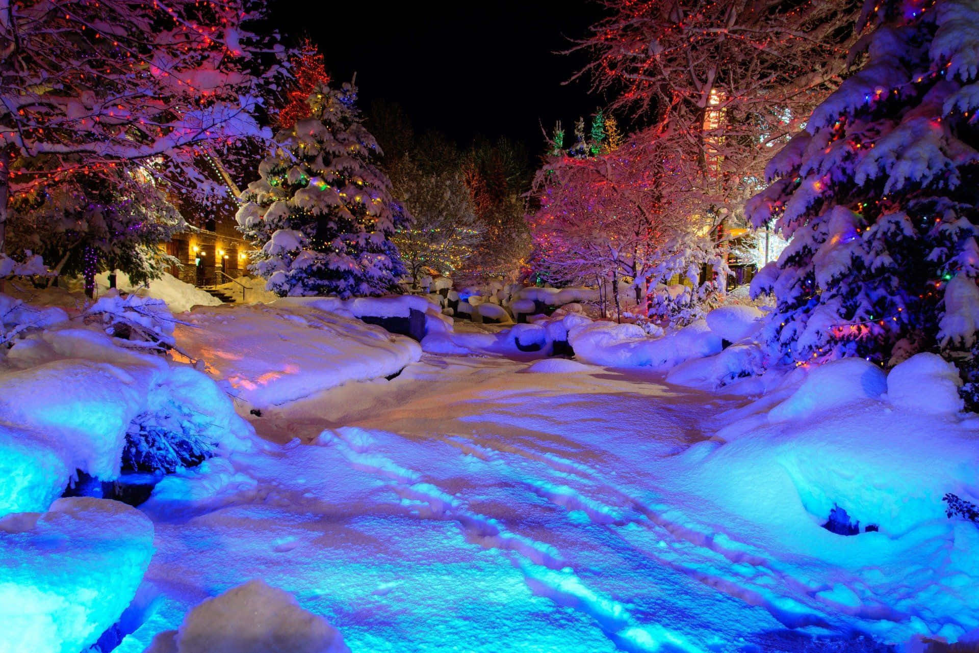 Enchanting Winter Wonderland Background