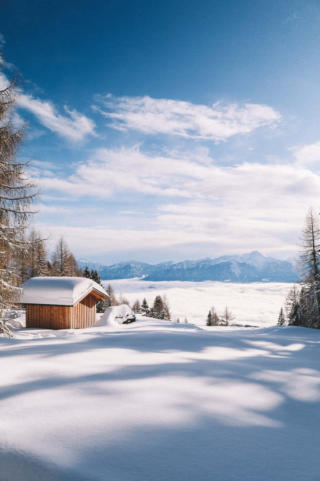 Enchanting Winter Wonderland Scene Background