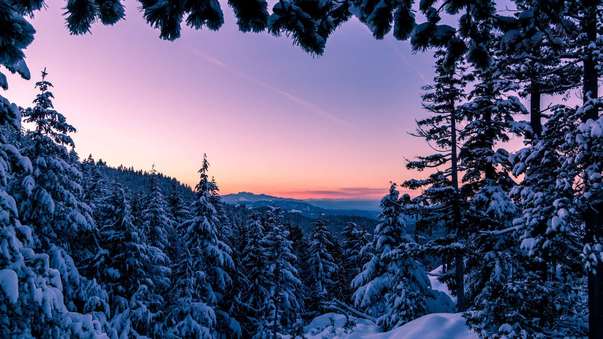 Enchanting Winter Wonderland Scene Background