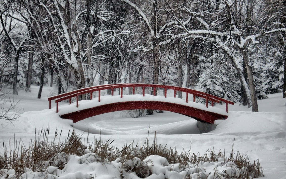 Enchanting Winter Wonderland Background