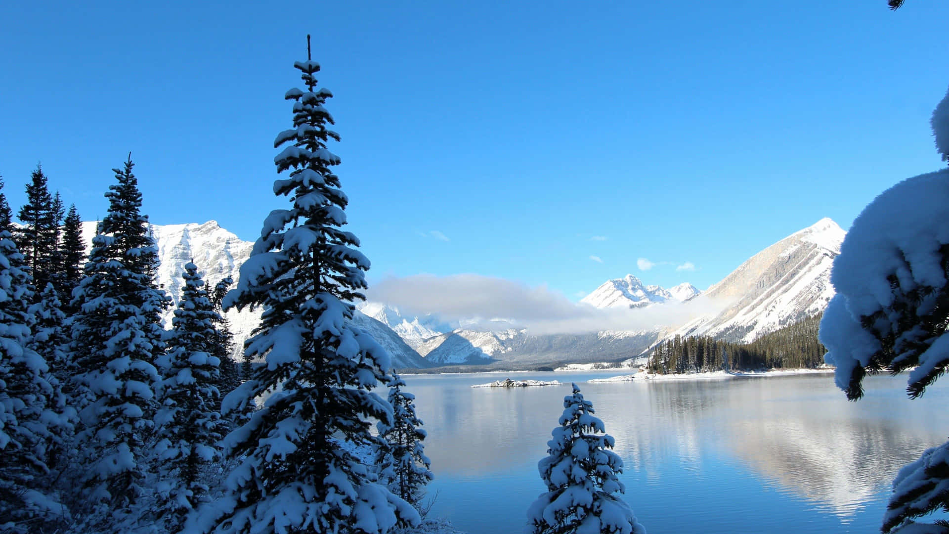 Enchanting Winter Wonderland Background