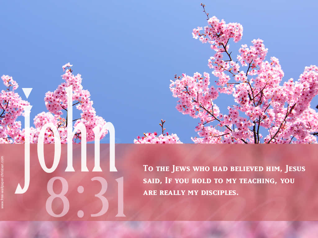 Encourage Yourself With God's Word Background
