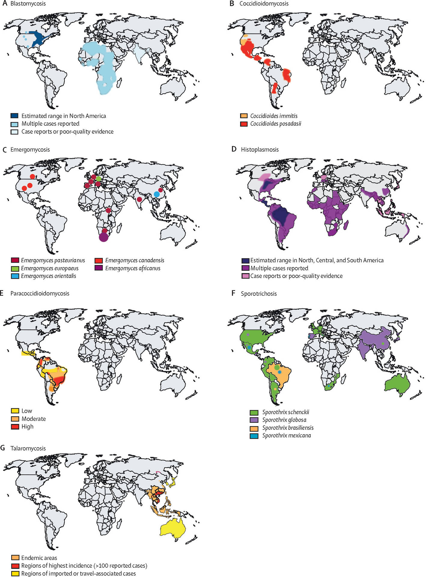 Endemic Cases In The World Background