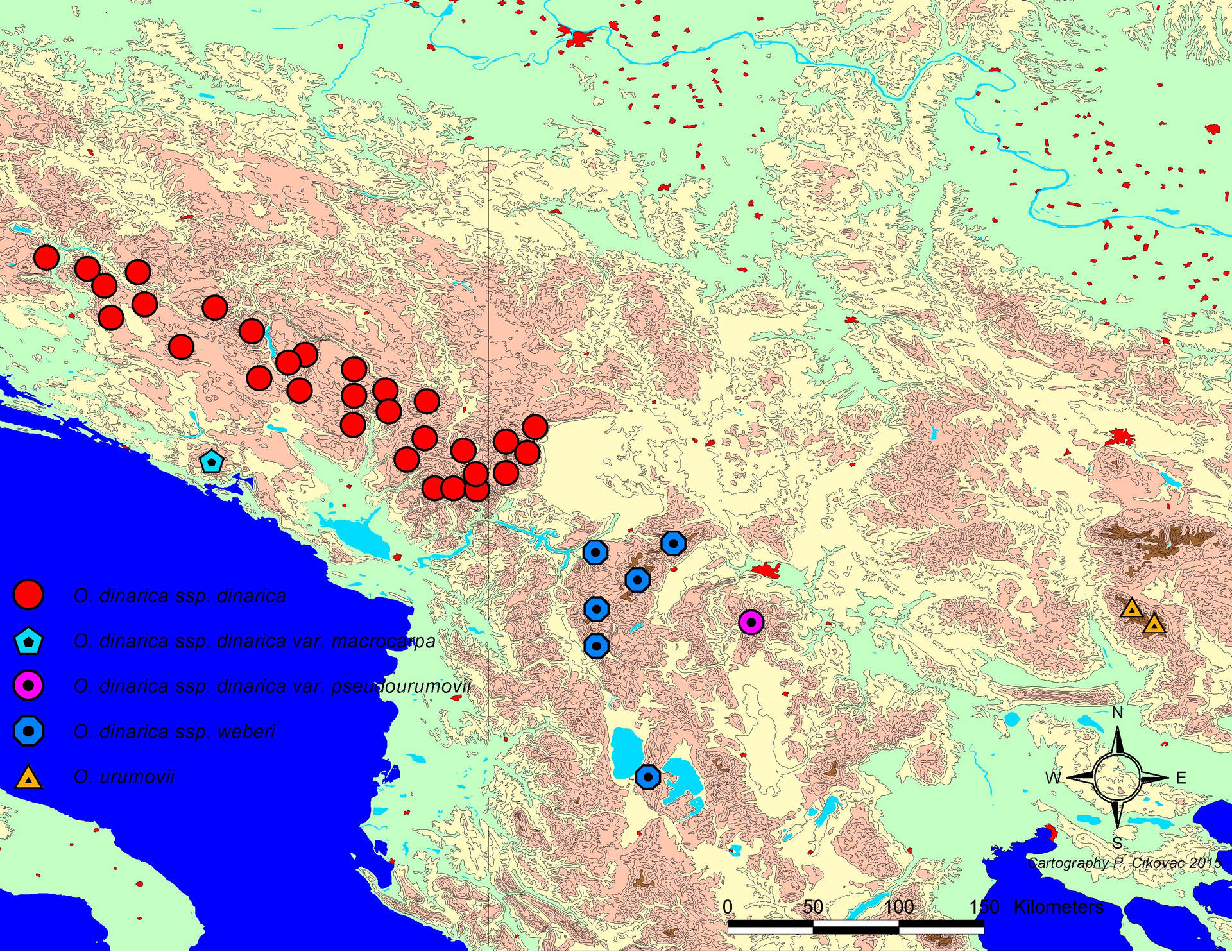 Endemic Spots On A Map