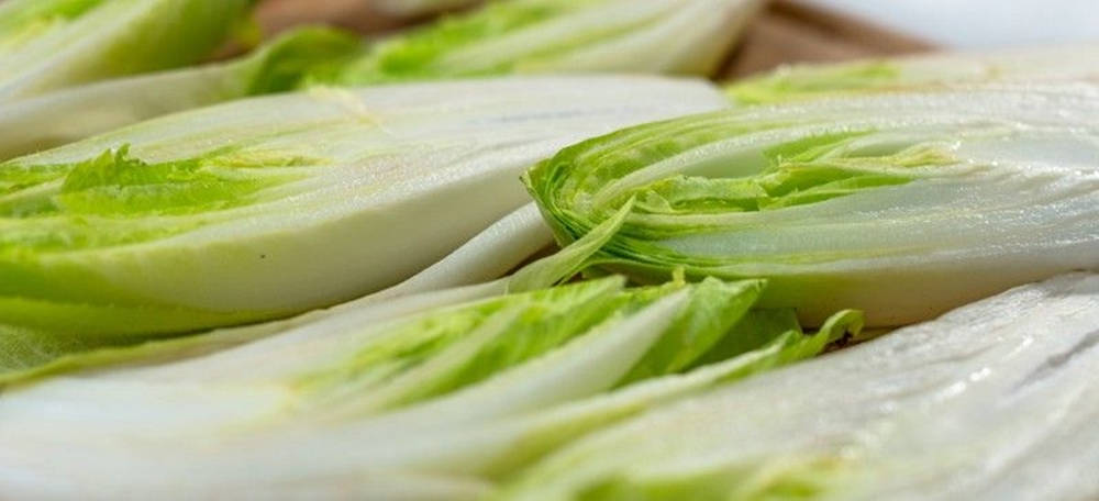 Endive Vegetables In Cross Section Cuts Background