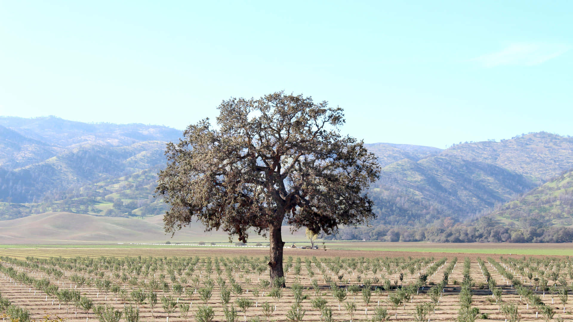 Endless Views Of California's Majestic Mountains. Background