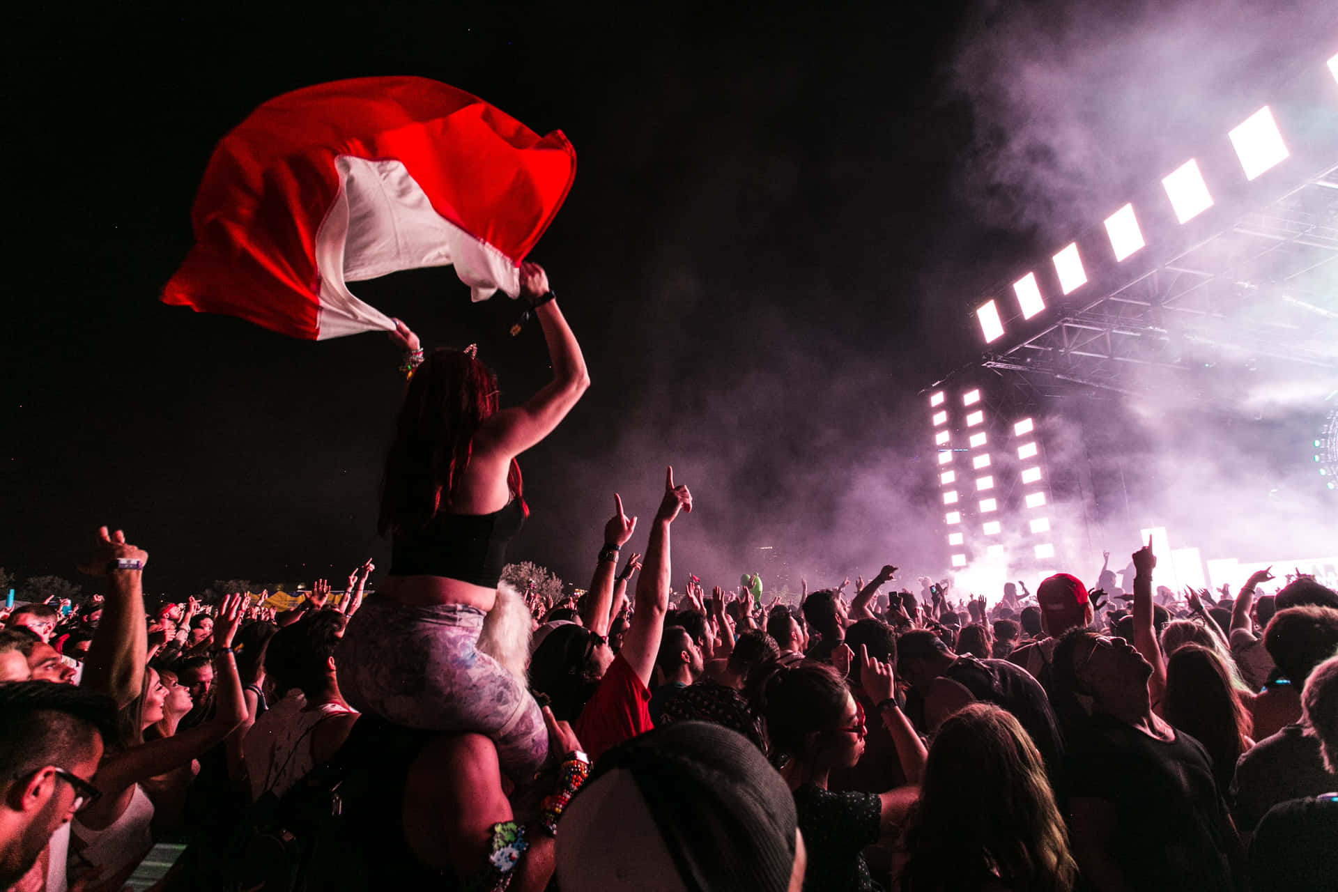 Energetic Crowd At A Music Festival