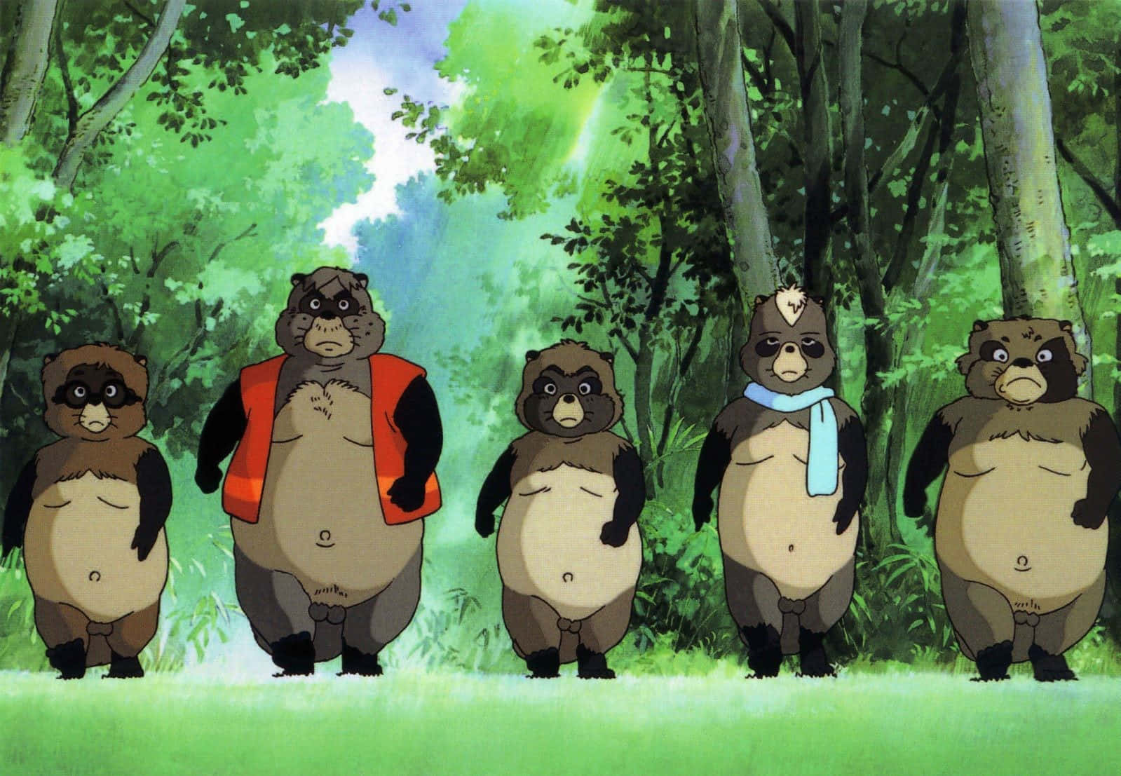 Engaging Pom Poko Scene Background