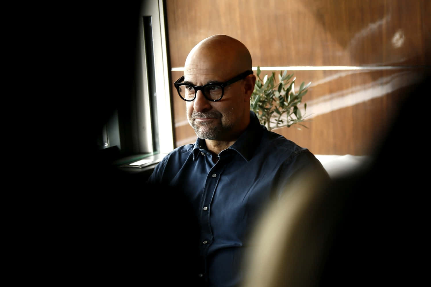 Engaging Portrait Of Stanley Tucci Background