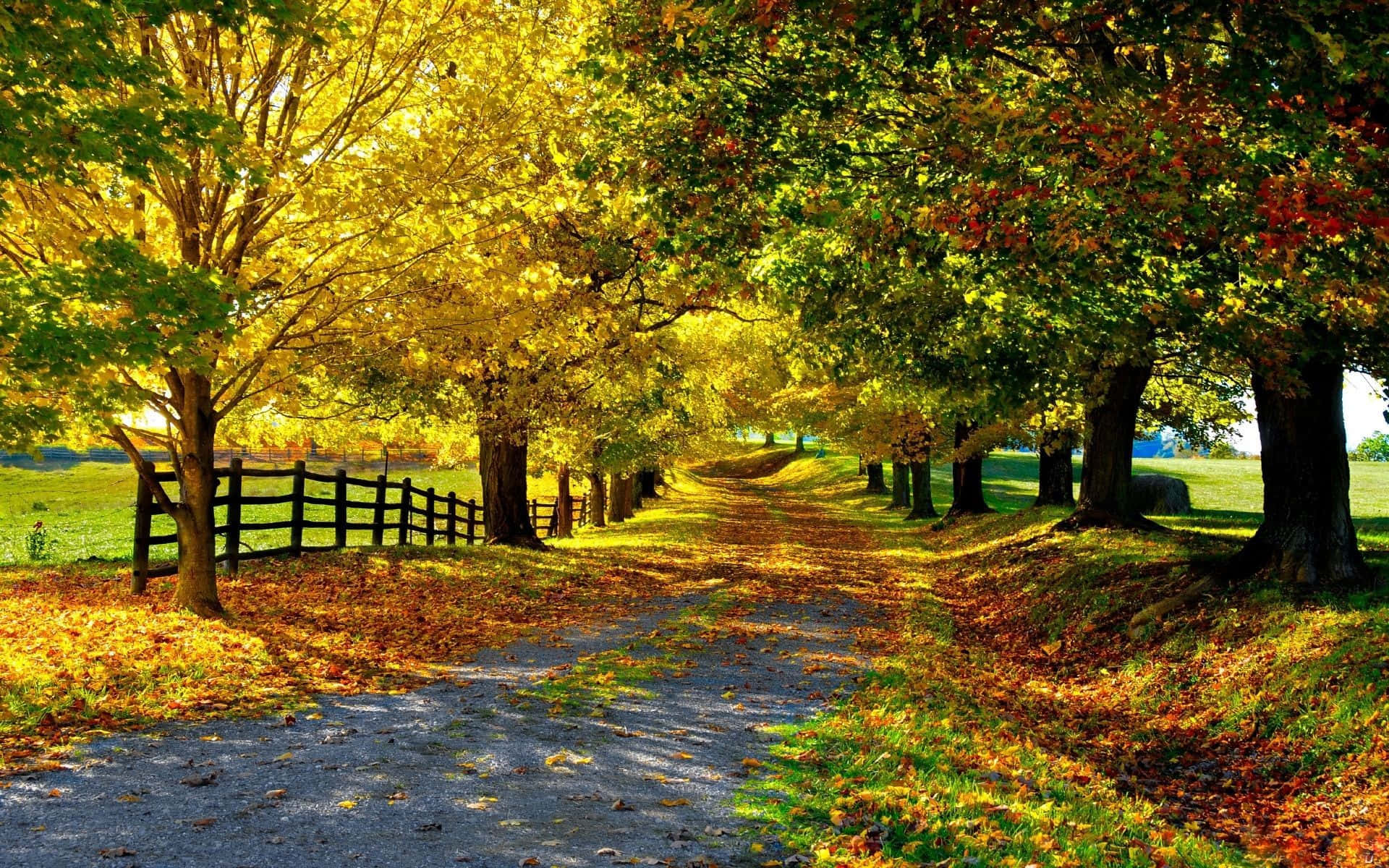 England Countryside In Autumn