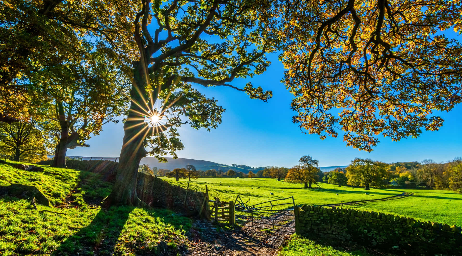 English Country Side 4k Ultra Hd Landscape Background