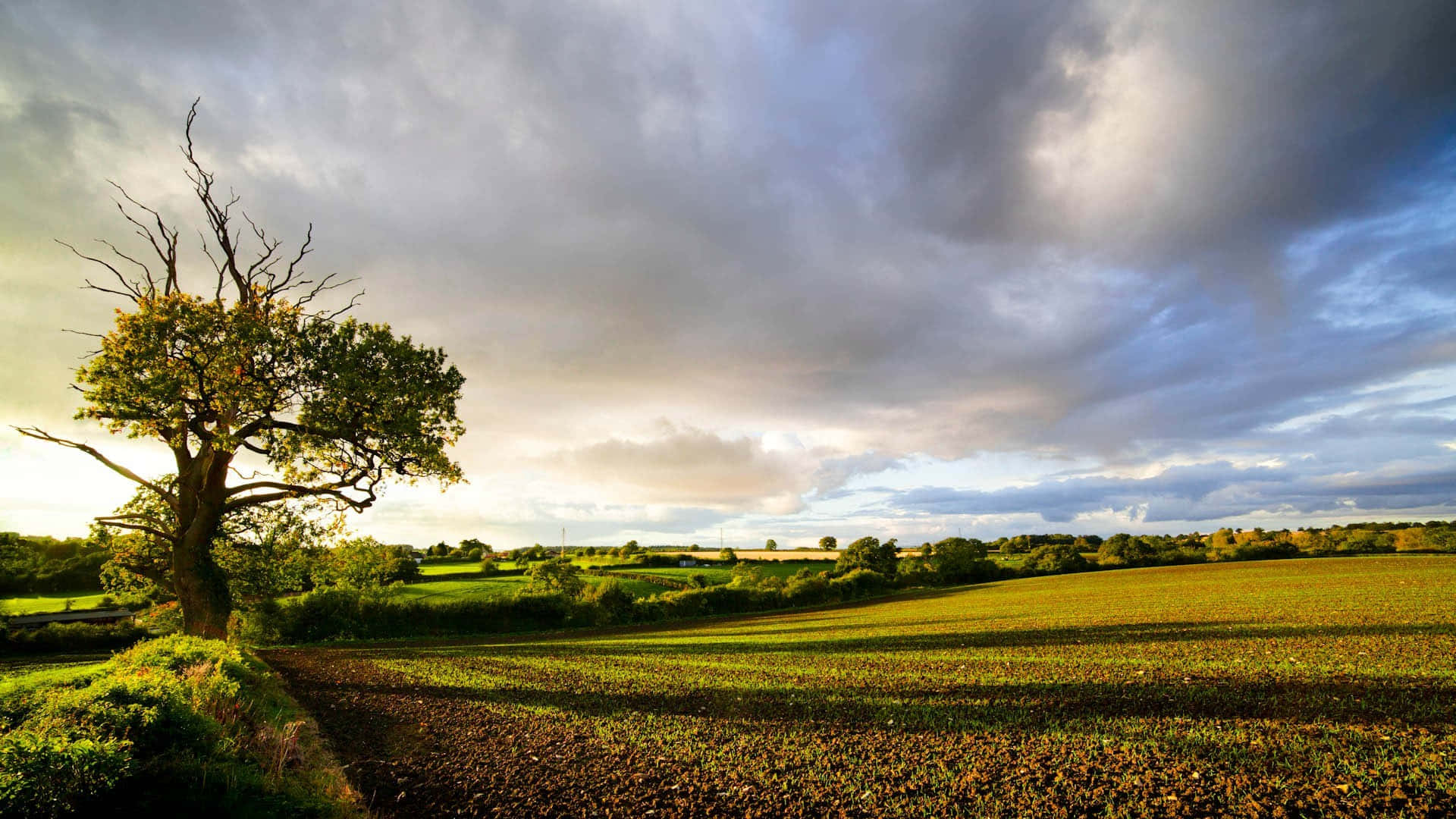 English Countryside And Cloudy Skies