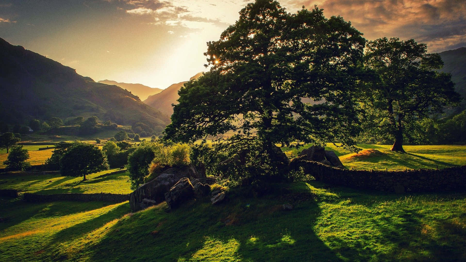 English Countryside Green Trees And Hills