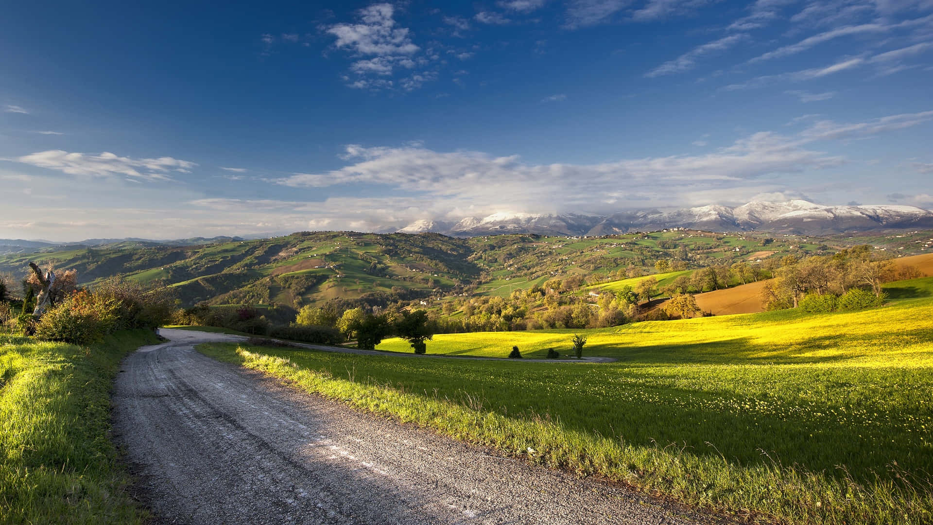 English Countryside Winding Road Landscape In Summer