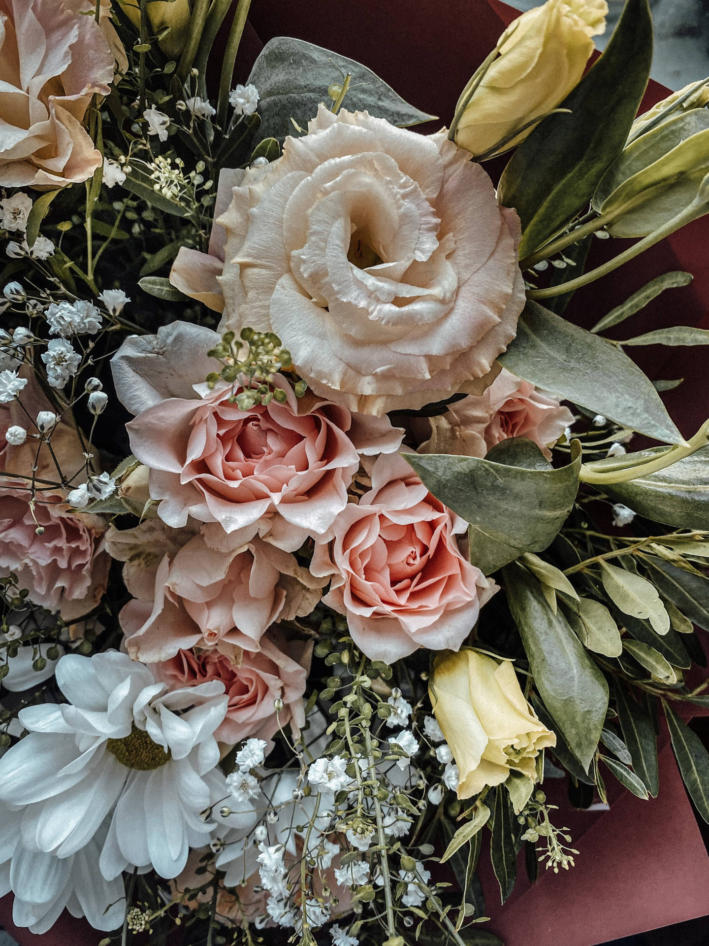 English Rose Gardenia And Common Daisy Flower Bouquet Background