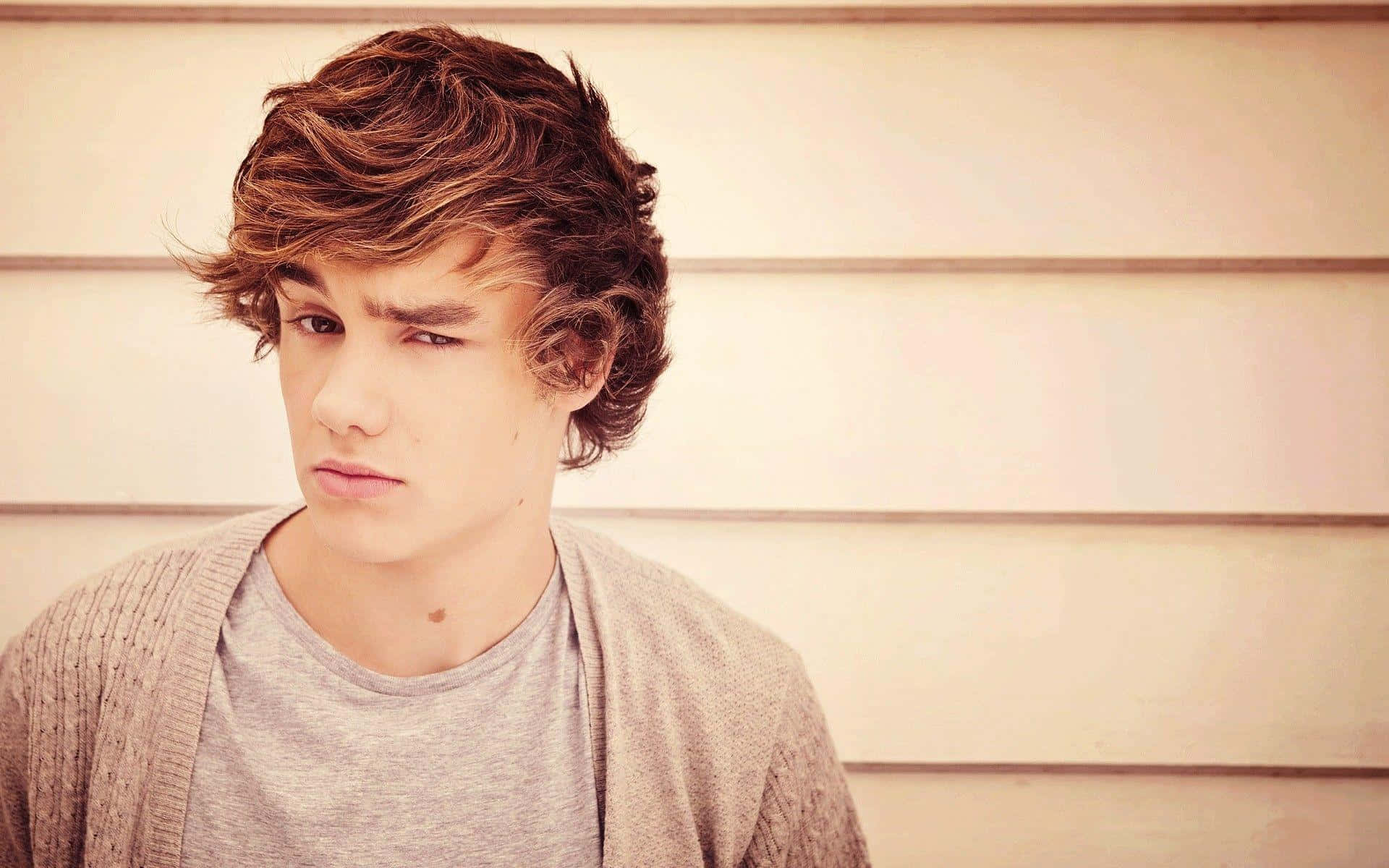 English Singer Liam Payne