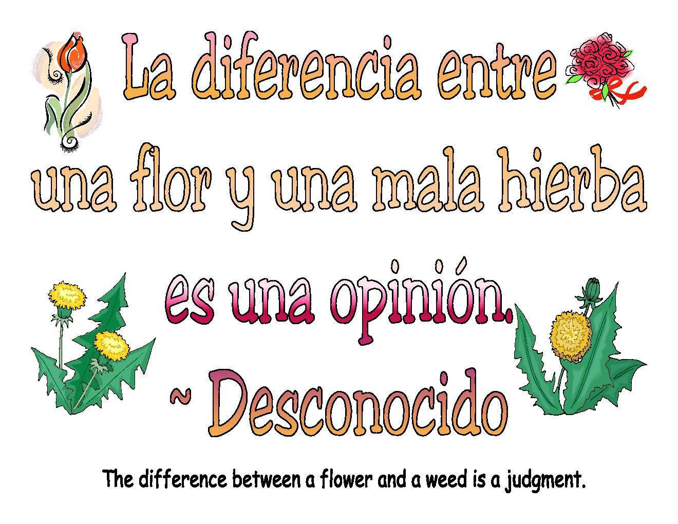 English To Spanish Flower Quote Background