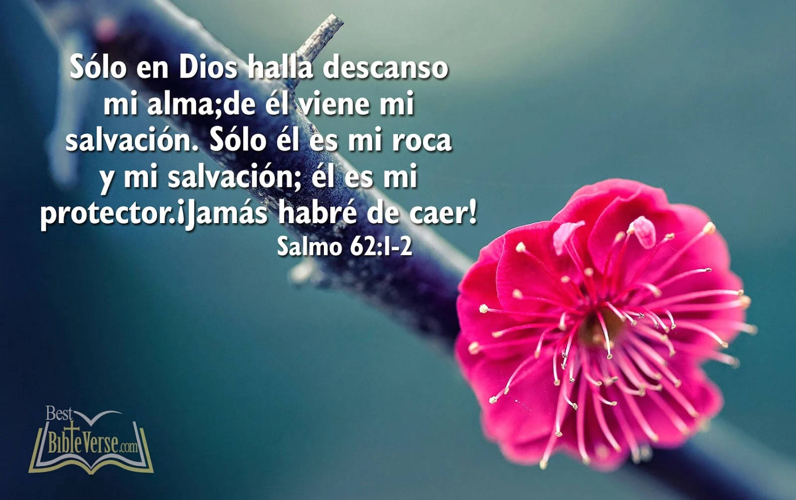 English To Spanish Psalm 62 Background