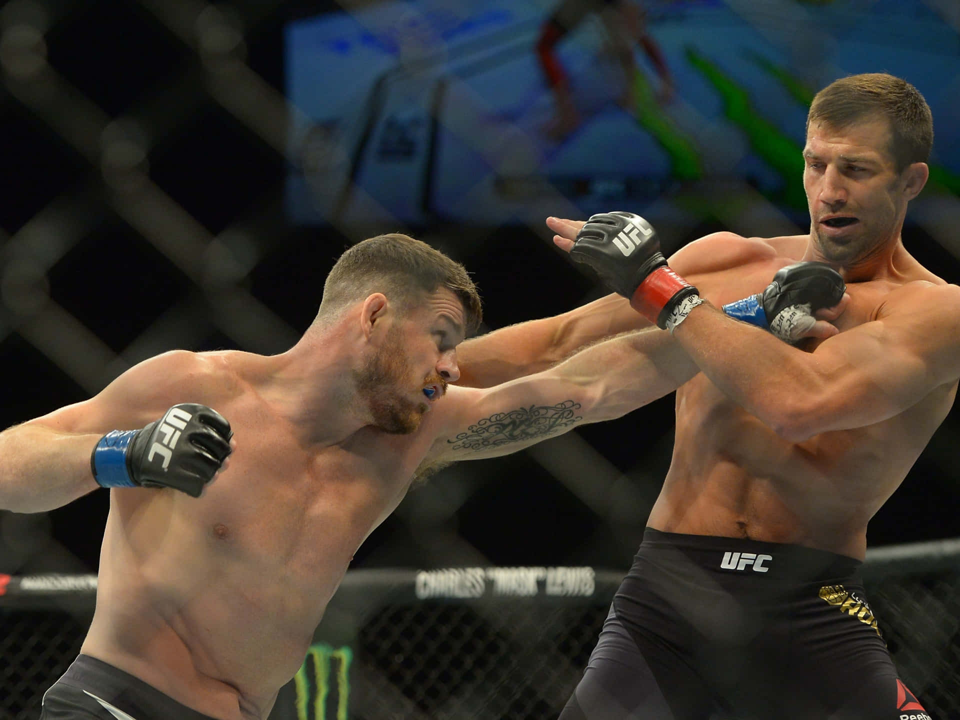 English Ufc Fighter Michael Bisping Strikes Luke Rockhold 2016 Photograph Background