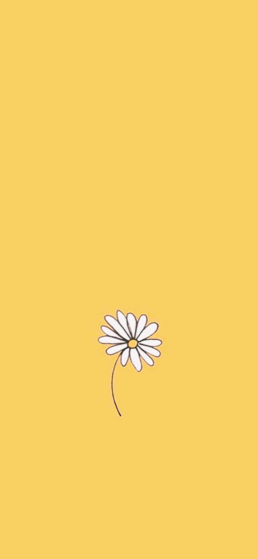 Enhance The Beauty Of Your Iphone With This Inspirational Sunflower Aesthetic Wallpaper Background